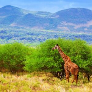 tsavo_west_kenya_1