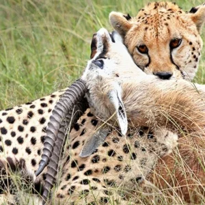 Tsavo-East-National-park-kenya-1200x675